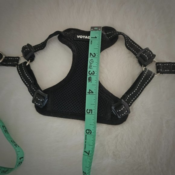 Dog harness - Picture 2 of 2
